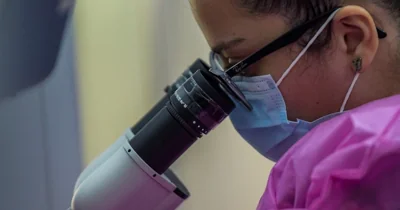Scientists Use AI to Design 16 New Viruses That Kill Bacteria, Raising  Biosecurity Concerns — International Business Times AU