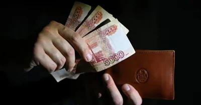«Добровольные пожертвования» в бюджет России выросли до рекордных 384 млрд рублей