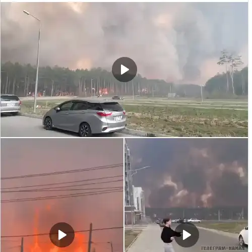 https://t.me/Govorit_NeMoskva/45129