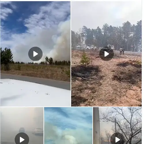 https://t.me/ostorozhno_novosti/36484