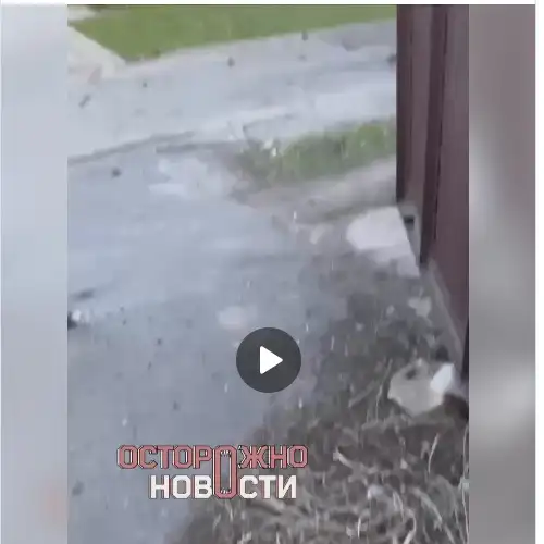 https://t.me/ostorozhno_novosti/36530